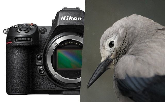 Nikon Z8 chính thức ra mắt: Kẻ kế nhiệm D850, giá $4000